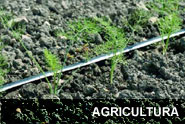 irigatii agricultura